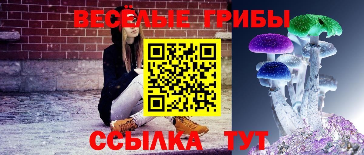 Галлюциногенные грибы прущие грибы  где купить наркоту  Каменка  Вход с VPN  Галлюциногенные грибы Magic Shrooms 