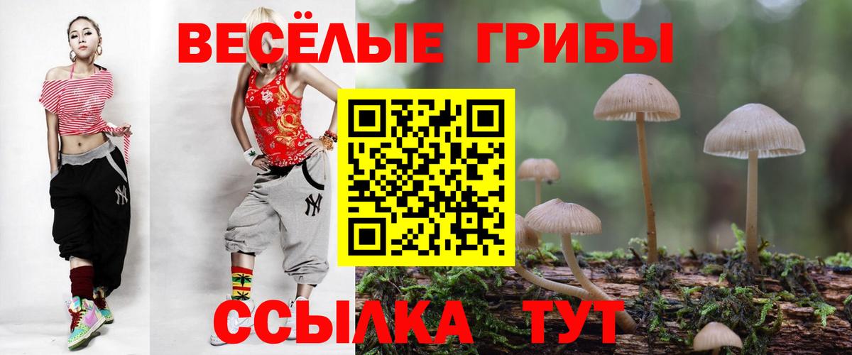 Галлюциногенные грибы прущие грибы Каменка